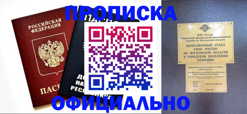 прописка законно в Бердске